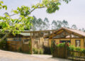 Mini Fazenda Pet Zoo