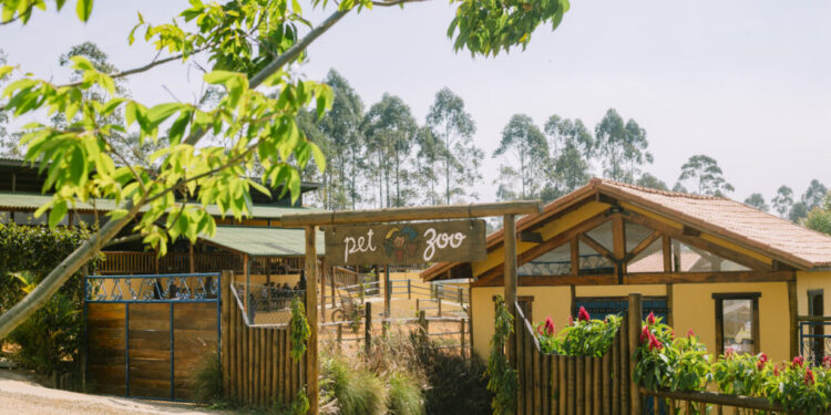 Mini Fazenda Pet Zoo