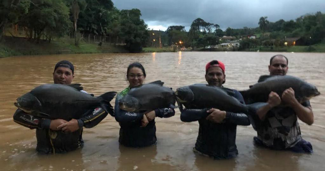 Pesqueiro Camp Fish