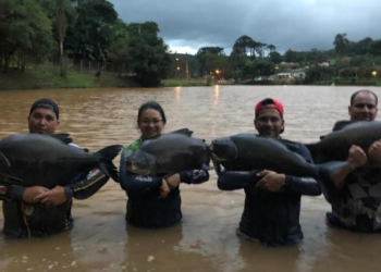 Pesqueiro Camp Fish