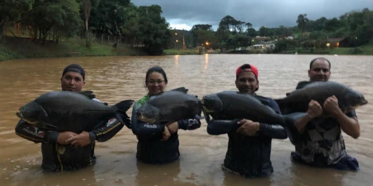 Pesqueiro Camp Fish