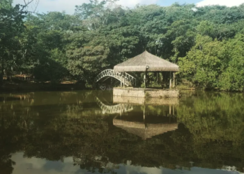 SPDV Eventos