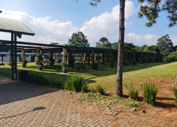 Parque  Jequitibá