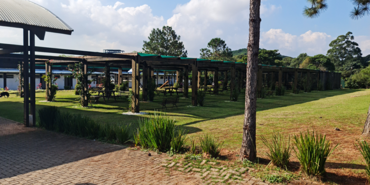 Parque Jequitibá